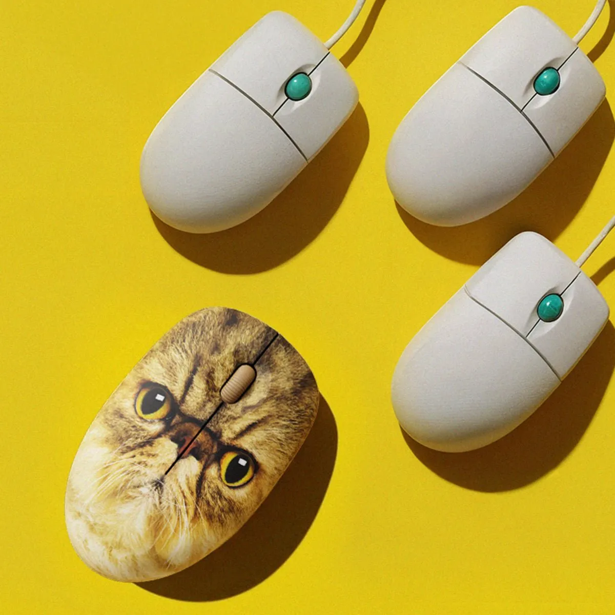 Mustard Mr Whiskers datormus katt