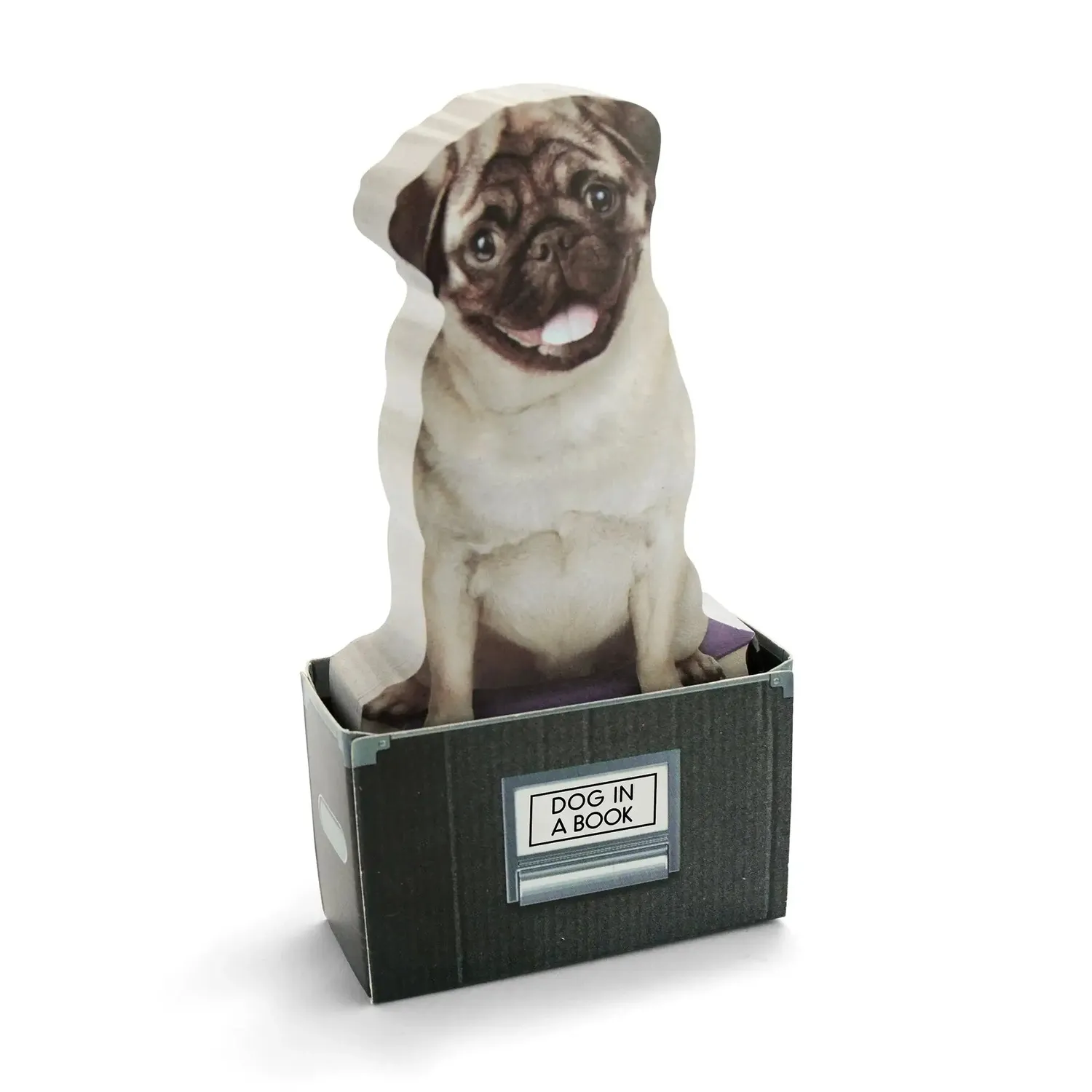 Mustard Dog In A Box klisterlappar hund