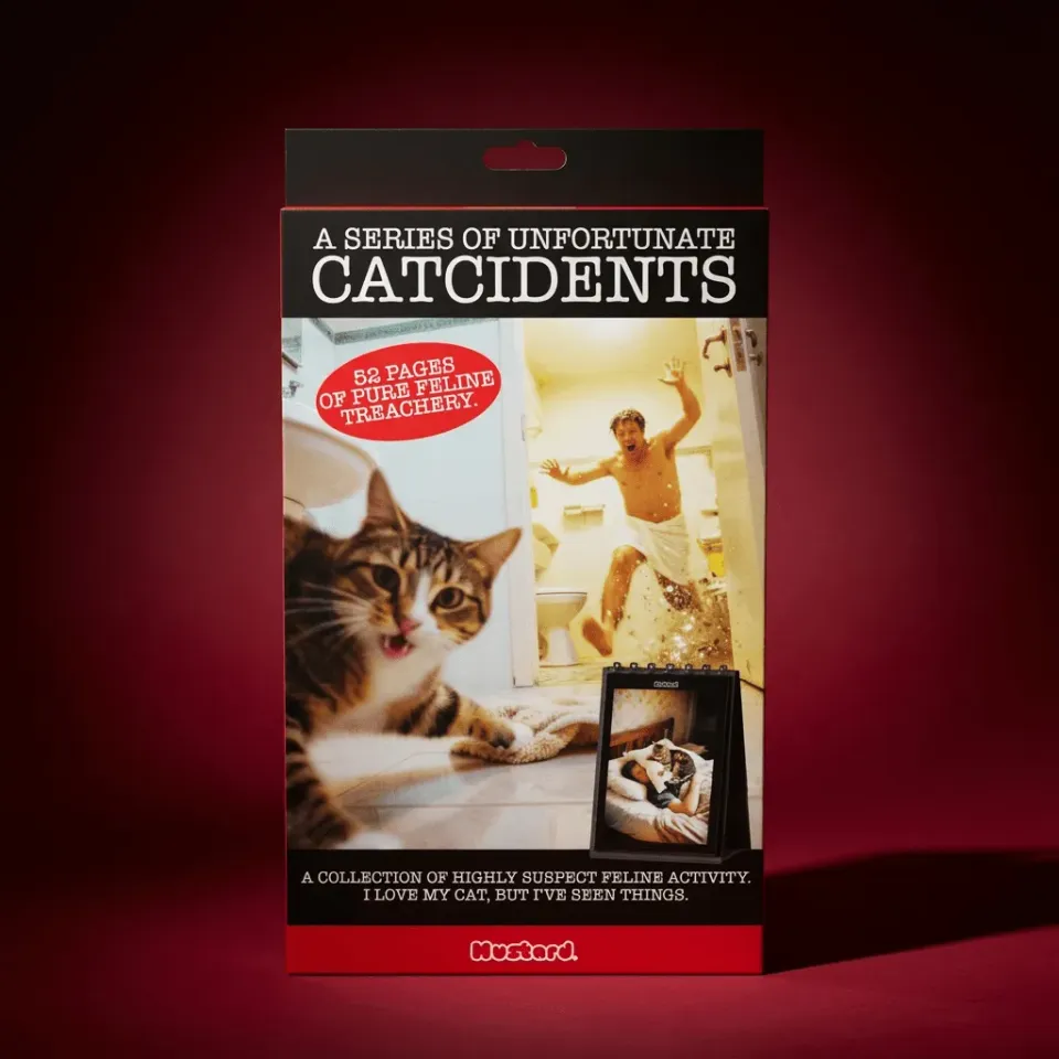Mustard Catcidents blädderbok 52 sidor kattkaos