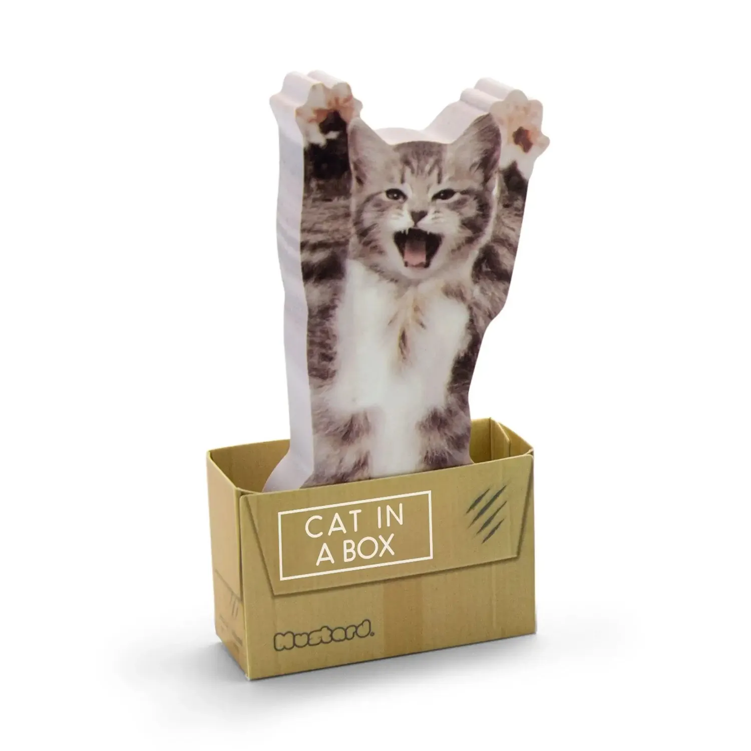 Mustard Cat In A Box klisterlappar katt