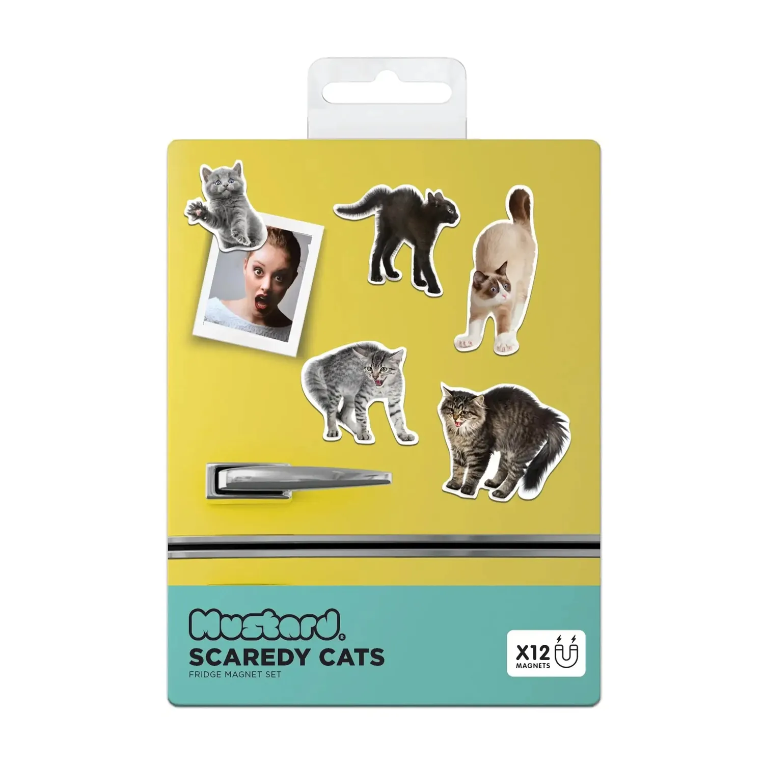 Mustard Scaredy Cat kylskåpsmagneter kattmotiv