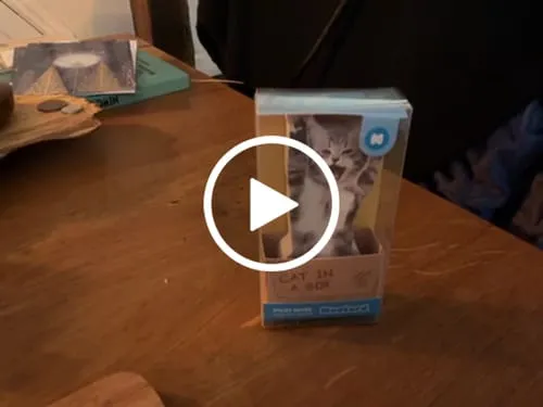 Mustard Cat In A Box klisterlappar katt