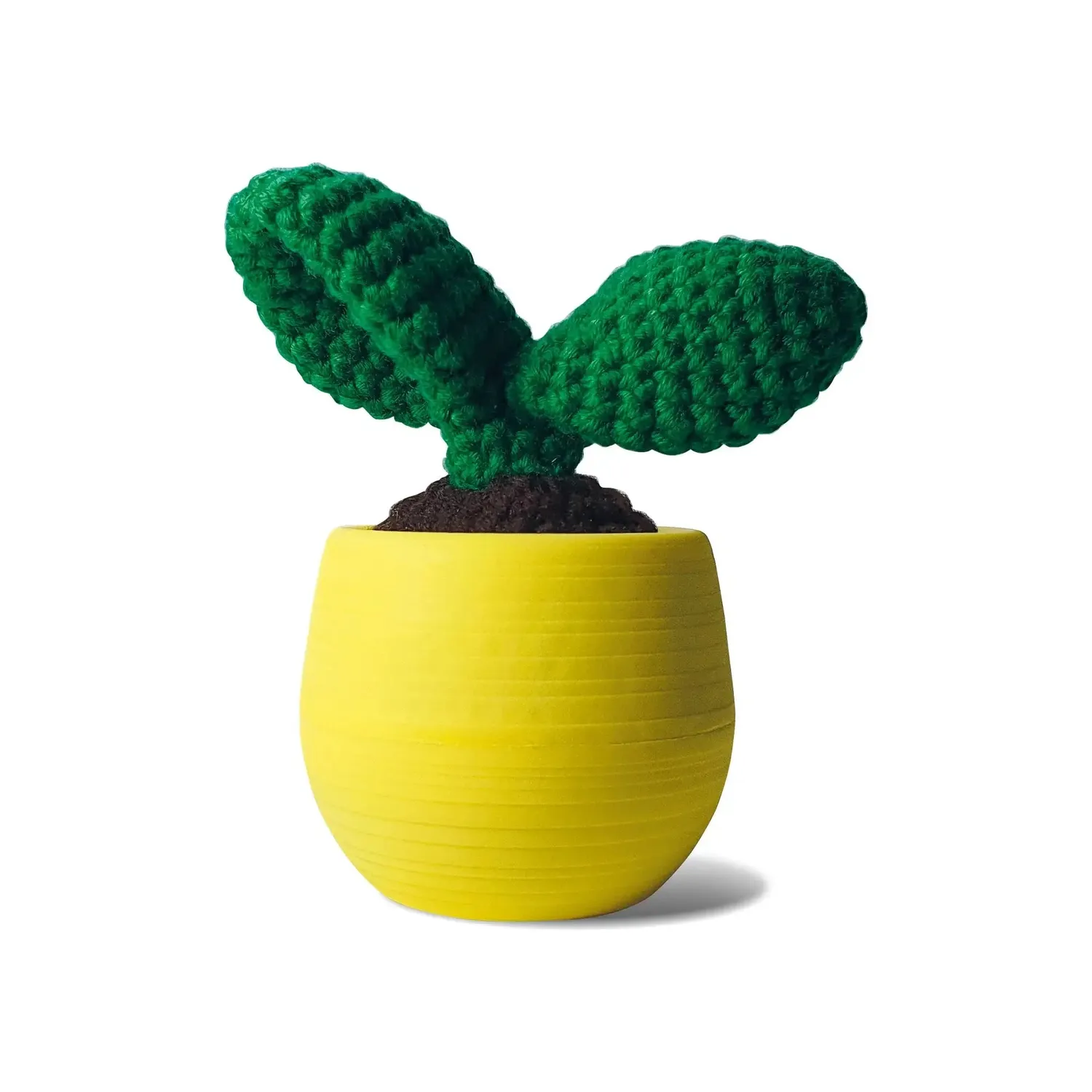 Mustard Cactus Leaf virkkit kaktus nybörjare