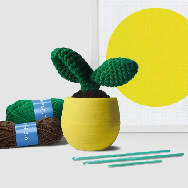 Mustard Cactus Leaf virkkit kaktus nybörjare