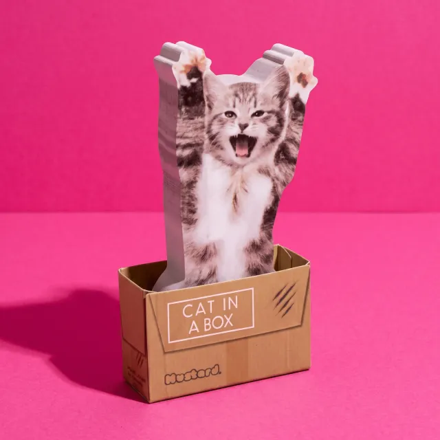 Mustard Cat In A Box klisterlappar katt