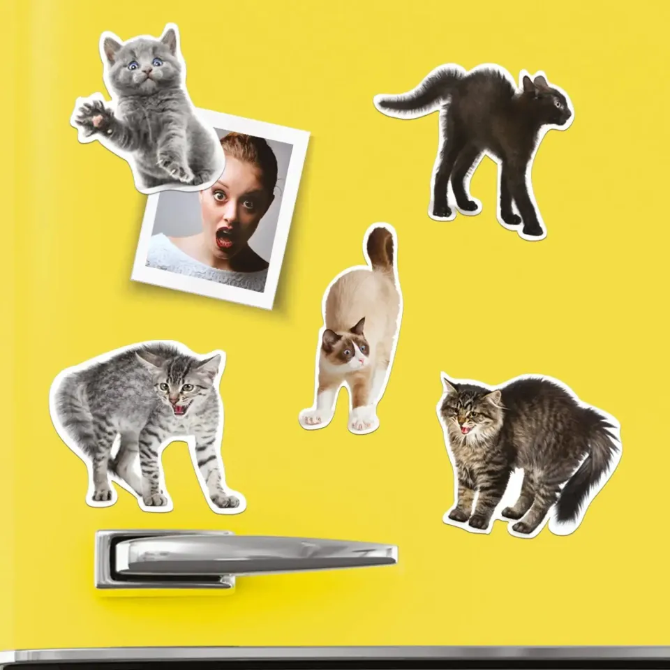 Mustard Scaredy Cat kylskåpsmagneter kattmotiv