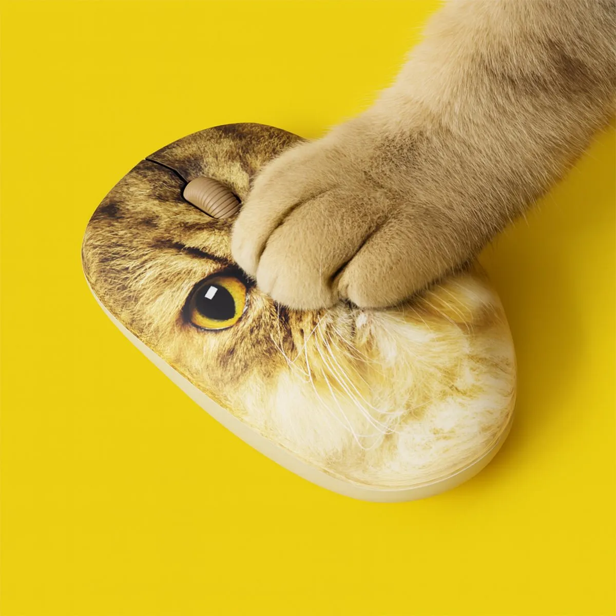 Mustard Mr Whiskers datormus katt